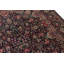 Hand Woven Wool Oriental Area Rug
