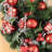 Shatterproof Water-Resistant Hanging Ornament 
