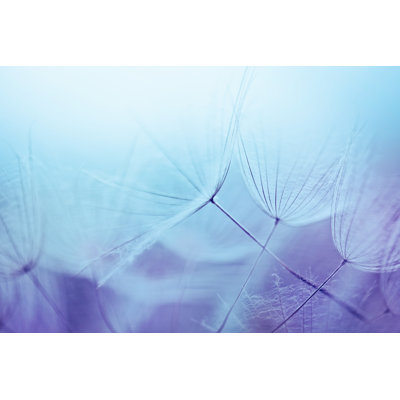 Dandelion seed 175455747