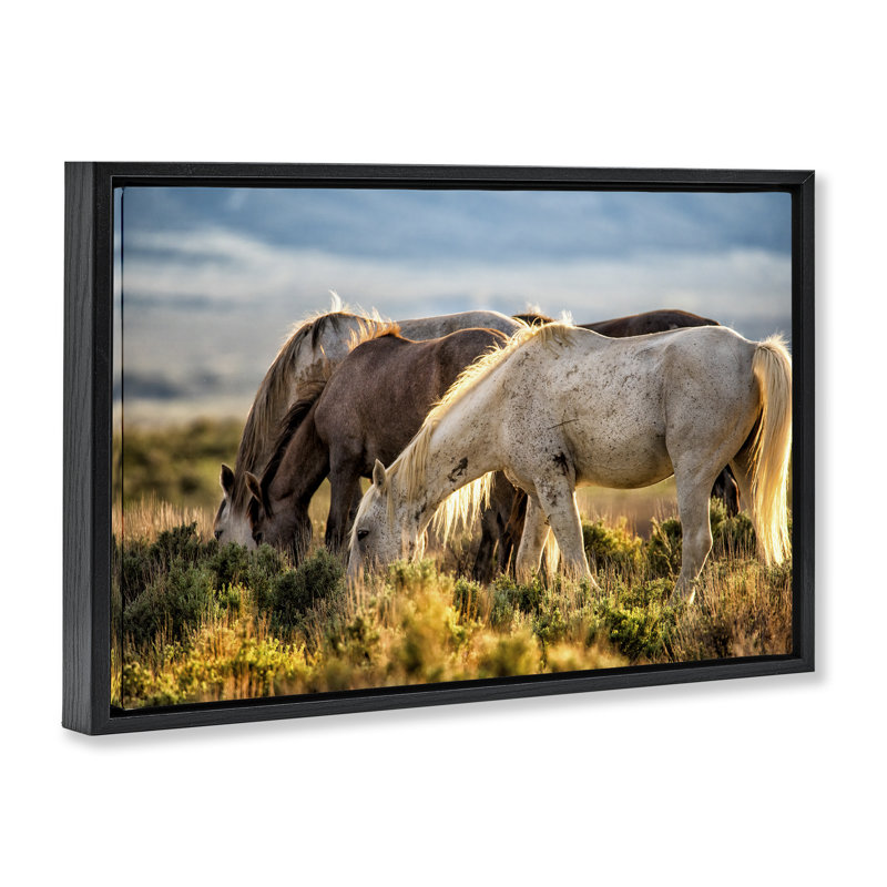 Cadre flottant Equine Evening Graze, design par Tim West, H 21 po x l 31 po, Cadre flottant noir de jais