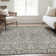 Premium Machine Washable Prisco Taupe Rug