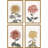 " Chrysanthemum S/4 " by Hasegawa 4 - Pieces Painting Print