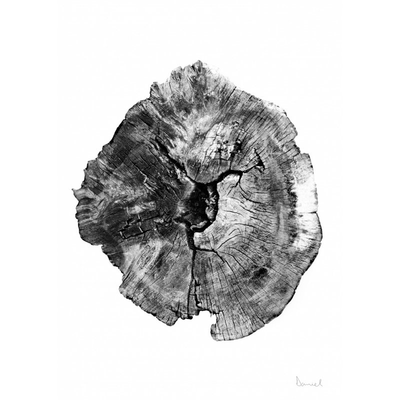 Wrapped Canvas Print, 76.2cm H x 50.8cm W
