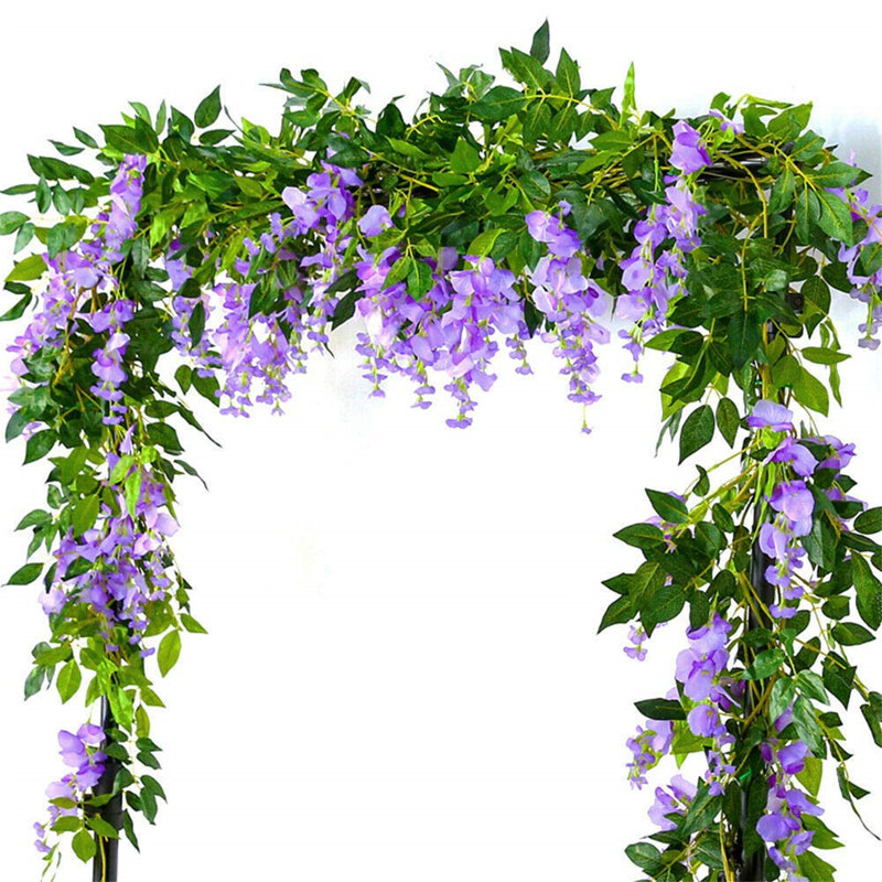 Prayer Plant, Lilac