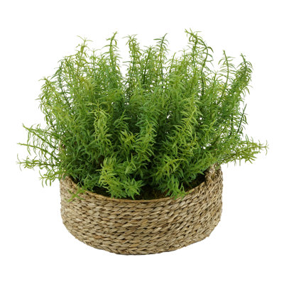 13'' Faux Herbs Grass in Wicker/Rattan Basket