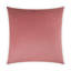Belvedere Pillow Cover & Insert-1606705765-1594365757