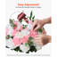 Arrangement