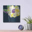 «Yellow Rose» par Linda Woods-2123071647