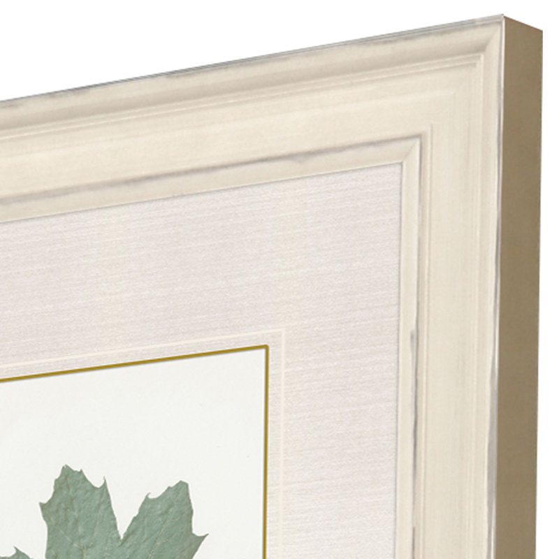 Leaf Adorned II Set by Giclee Studio