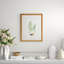 Curtis Ferns II Print