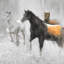 Abstrait troupeau de chevaux - animaux de ferme gris, art sur toile-120117800