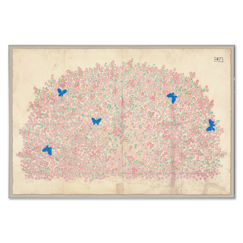 Myosotis Print by Paule Marrot Soicher Marin