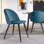 Abel 46cm H Velvet Upholstered Side Chair-565562592