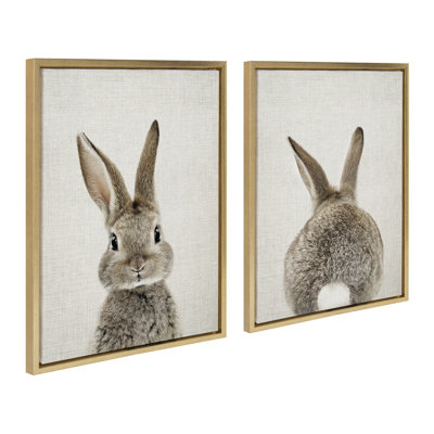 Bunny Portrait on Linen and Bunny Tail on Linen by Amy Peterson Framed Canvas Wall Art Set