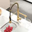 Robinet d'évier de cuisine conciliant en or avec douchette rétractable - Double praticité, remplisseur en céramique, dégagement d'eau réglable de qualité moderne, poignée simple, maquillage en laiton-1677502921