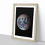 Eastern Hemisphere of Earth - Picture Frame Photograph Print-55537352-55537356