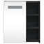 Adrianny W 52mm H Freestanding Framed Medicine Cabinet Mirror-525746883-525746880