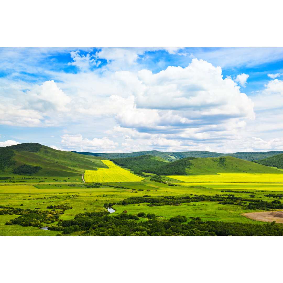 Sommerlandschaft von Fzant - Kunstdrucke auf Leinwand ohne Rahmen