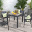 Foxcote Rectangular Extendable Outdoor Dining Table , 80cm cm W 80cm cm D