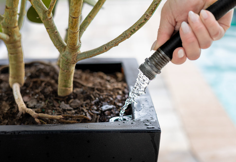 Self-Watering Planters