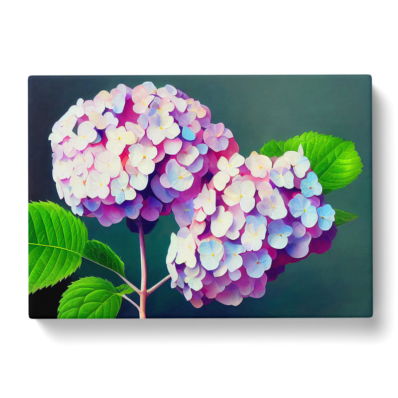 Glowing Hydrangea Flowers - Wrapped Canvas, 50cm H x 76cm W x 3cm D