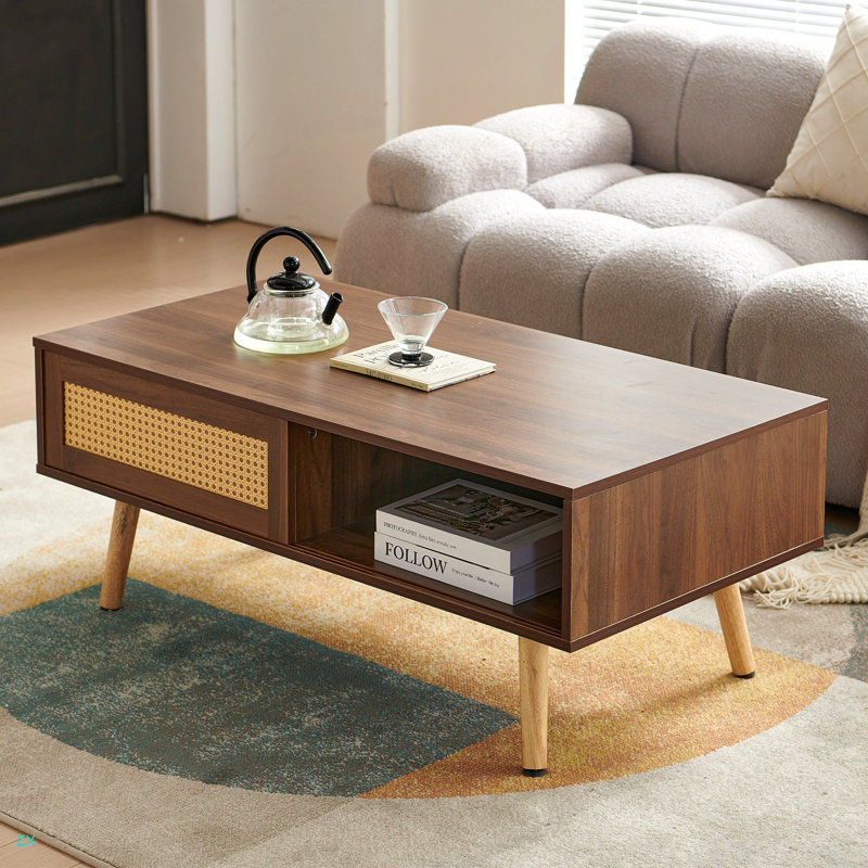 Table basse en rotin PE, porte coulissante pour le rangement, pieds solides, table moderne pour le salon, Noyer