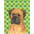 Bull-mastiff sélectionné