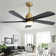 Damecia 52'' Ceiling Fan with LED Lights