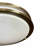 Amaira Flush Mount
