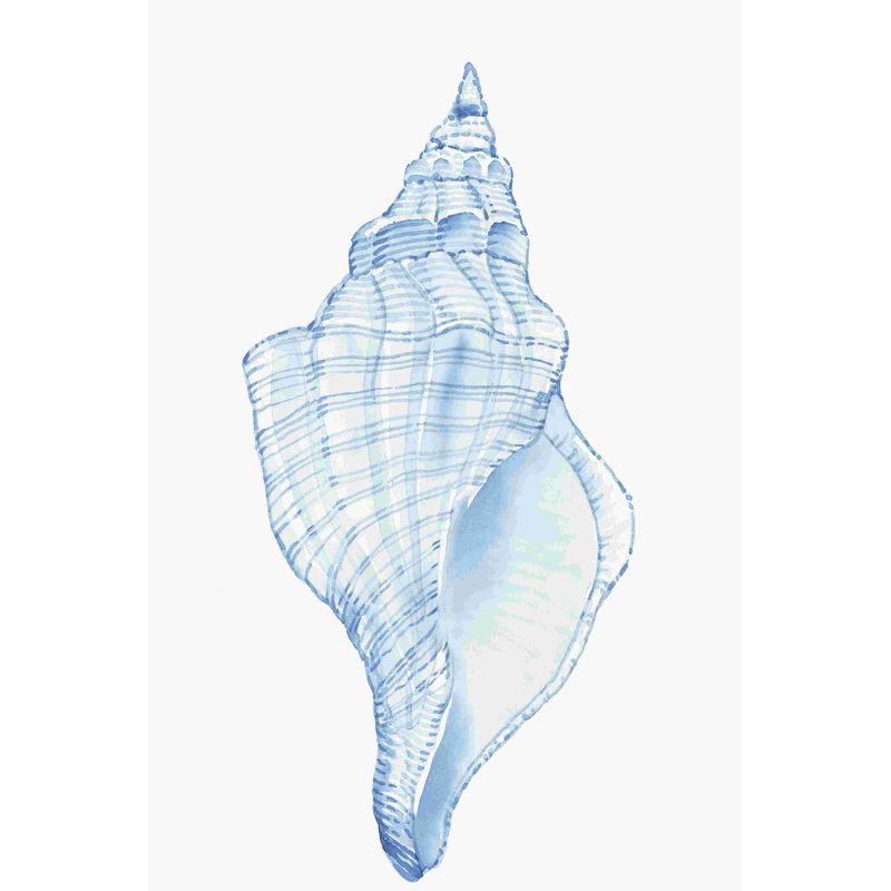 " Blue Shell I " Painting Print, 18" H x 12" W x 1.25" D