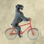 Schnauzer géant à bicyclette - peinture sur toile tendue-500433506-470718146-470718205