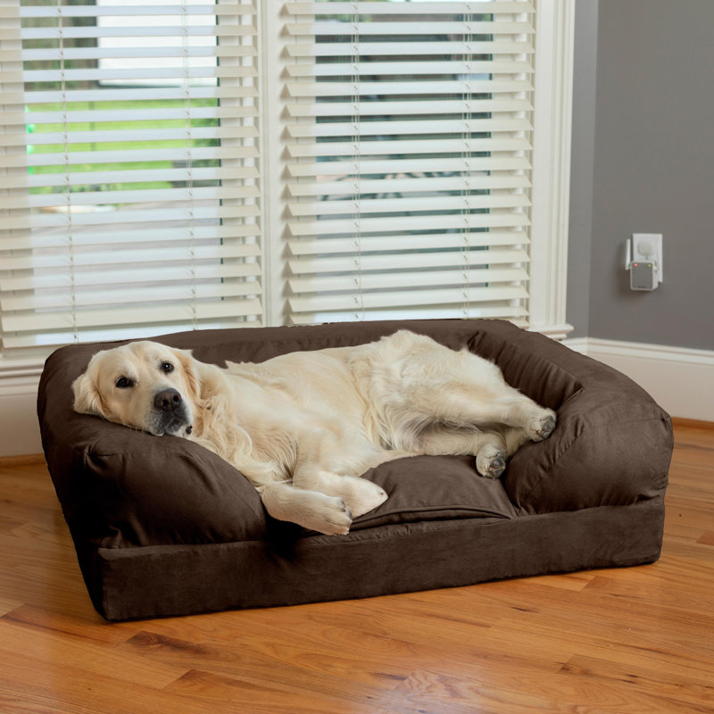 Canapé pour chien 100% lavable par Snoozer, Très grand (l 54 po x P 36 po), Caramel chaud / café