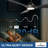 42" Black Modern Ceiling Fan with Light and Remote App-1243717400