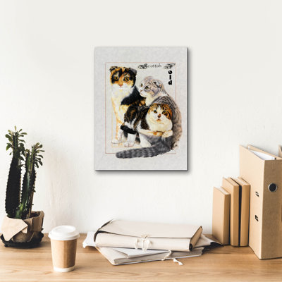 «Scottish Fold» par Barbara Keith sur