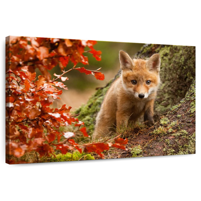 Brampt Fox Pup, 20" H x 30" W