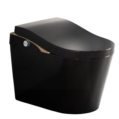 Toilette bidet intelligente sans réservoir avec bouclier en mousse et hauteur ADA (noir mat)
