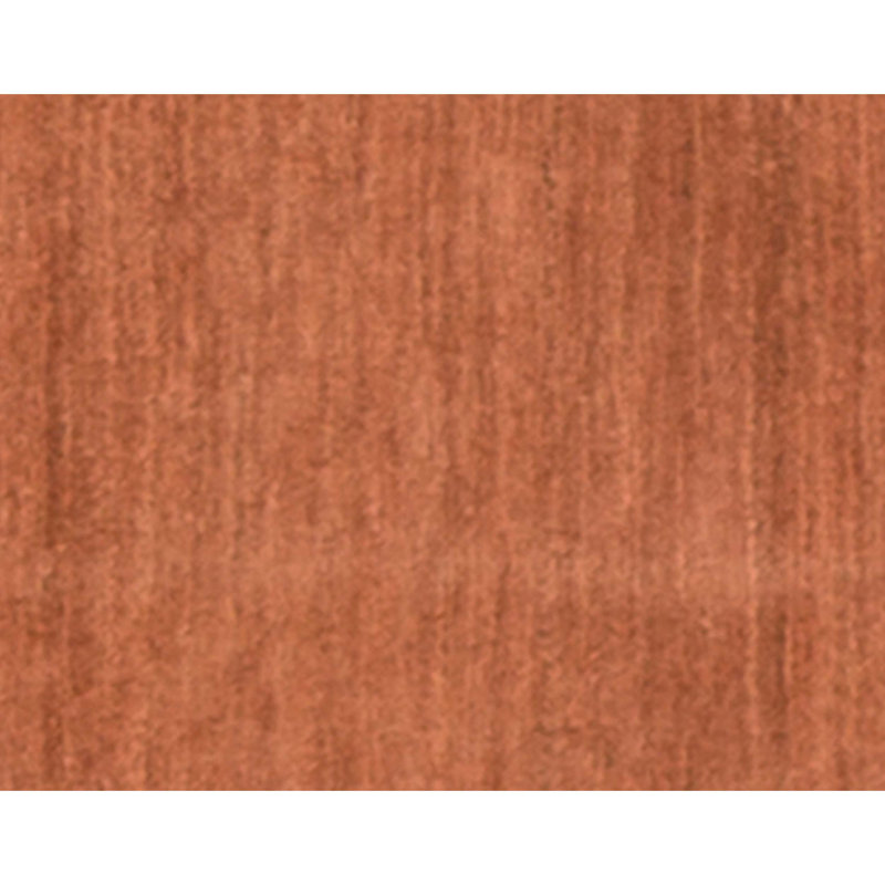 Hand Knotted Wool Area Rug in Rust