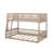 Full XL Over Queen Bunk Bed With Guardrails And Ladder-412027762