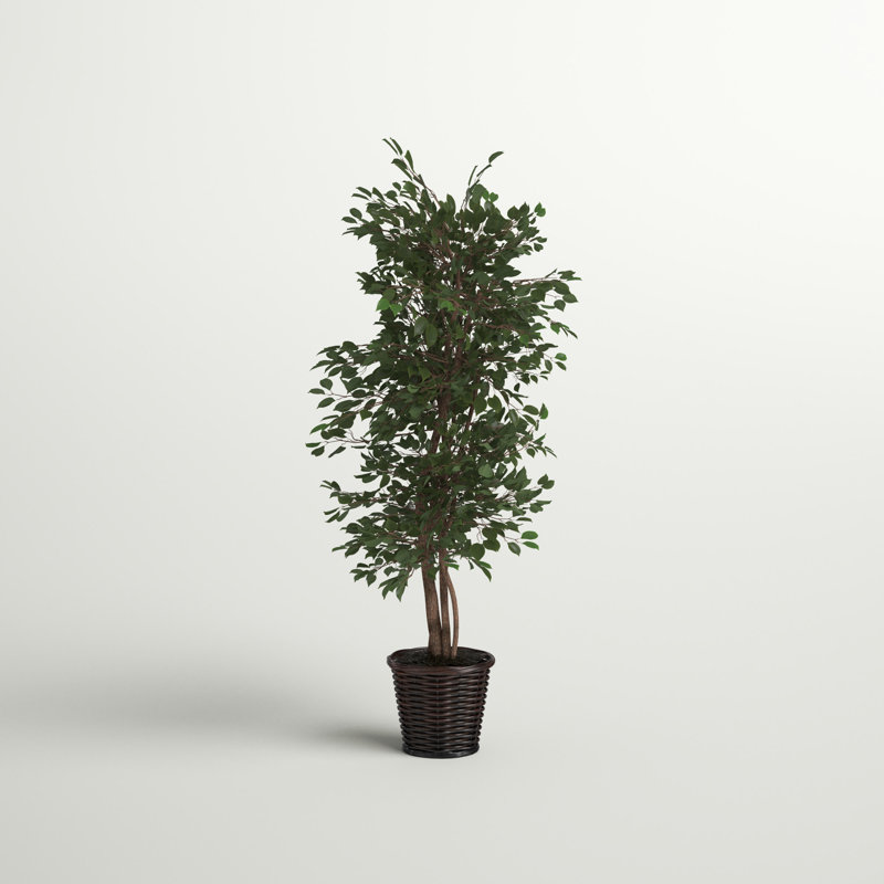 72'' Faux Tree in Wicker/Rattan Basket