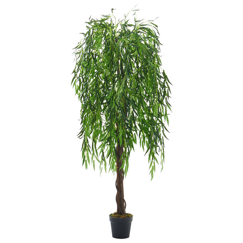 195cm Plant