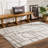 Juwaria Abstract Cream Area Rug-569445421