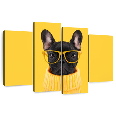 Sophisticated French Bulldog