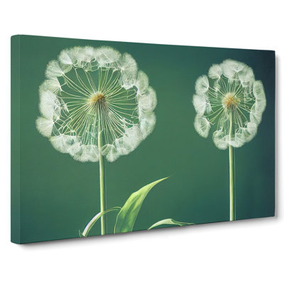 Inspiring Dandelion Flowers - Wrapped Canvas Print