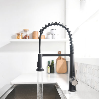 FLG 1270series Pull Down Kitchen Faucet