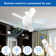 Monzerrat 6'' Ceiling Fan with LED Lights