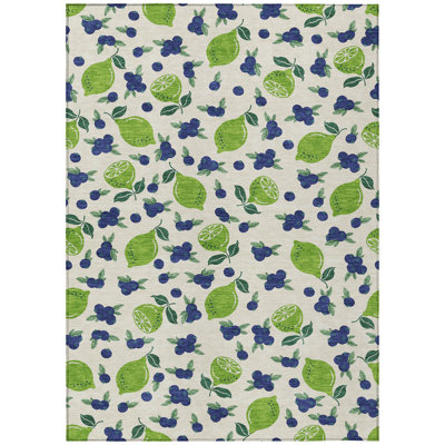 Machine Washable Indoor/Outdoor Adalaide ACN2354 Fruits Rug