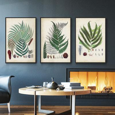 " Collected Ferns I " 3 - Pieces