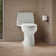 Santa Rosa Comfort Height One-Piece Compact Elongated 1.28 Gpf Toilet With Revolution 360 Swirl Flushing Technology And Continuousclean St