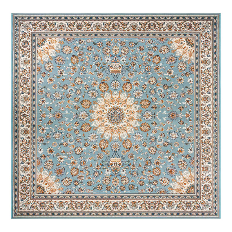 Indoor/Outdoor Traditional Area Rug, Square 10'