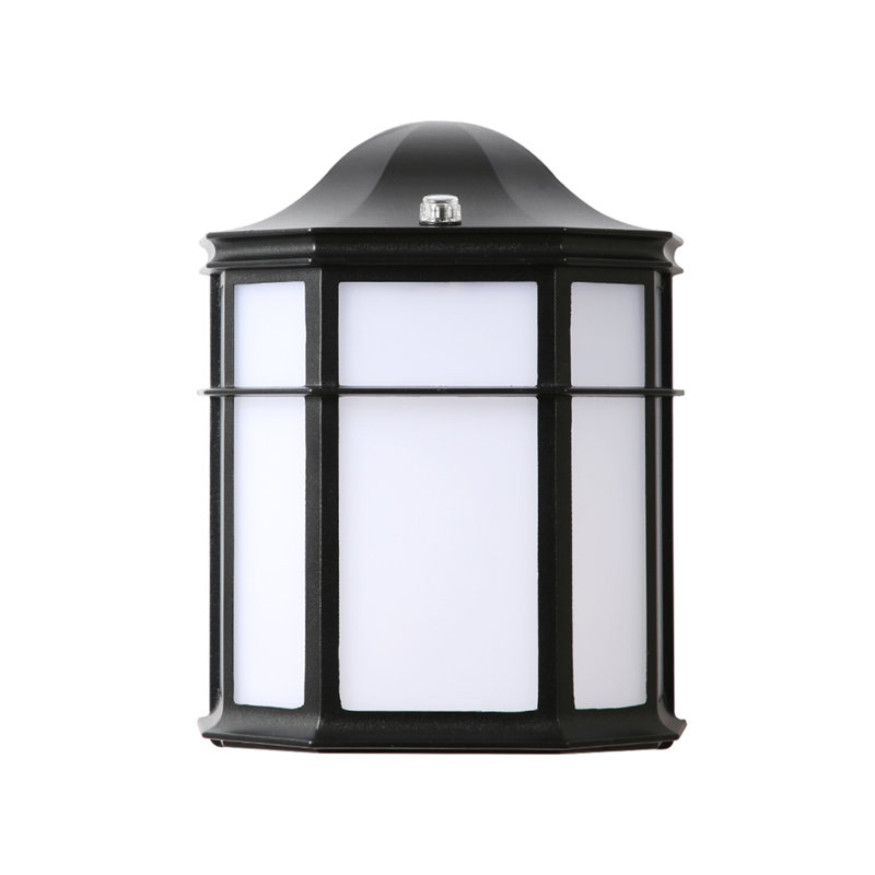 Damilja Wall Light